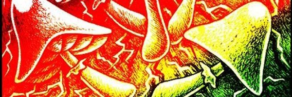 AllyAsian's profile banner image