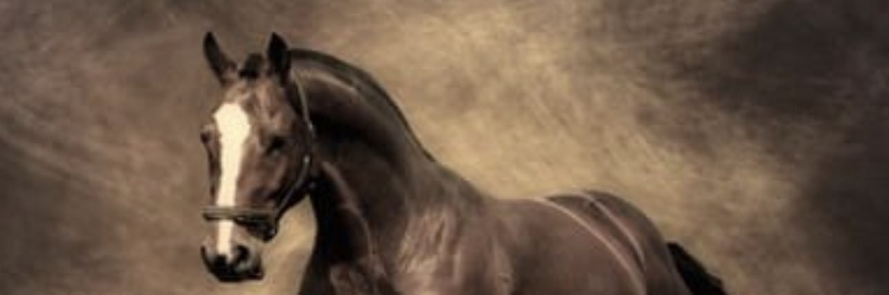 mostshrig's profile banner image