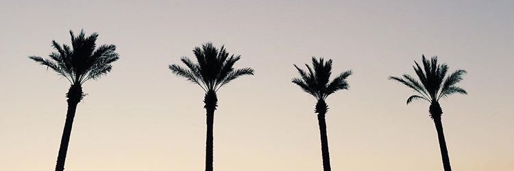 leahgwin's profile banner image