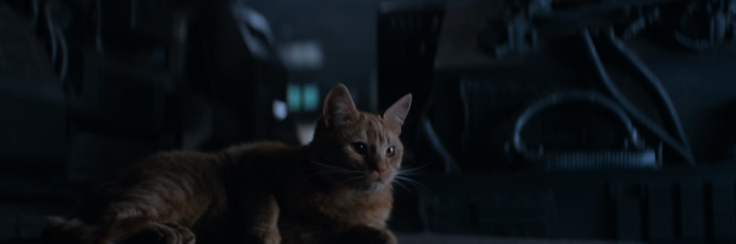 ivansitonto's profile banner image