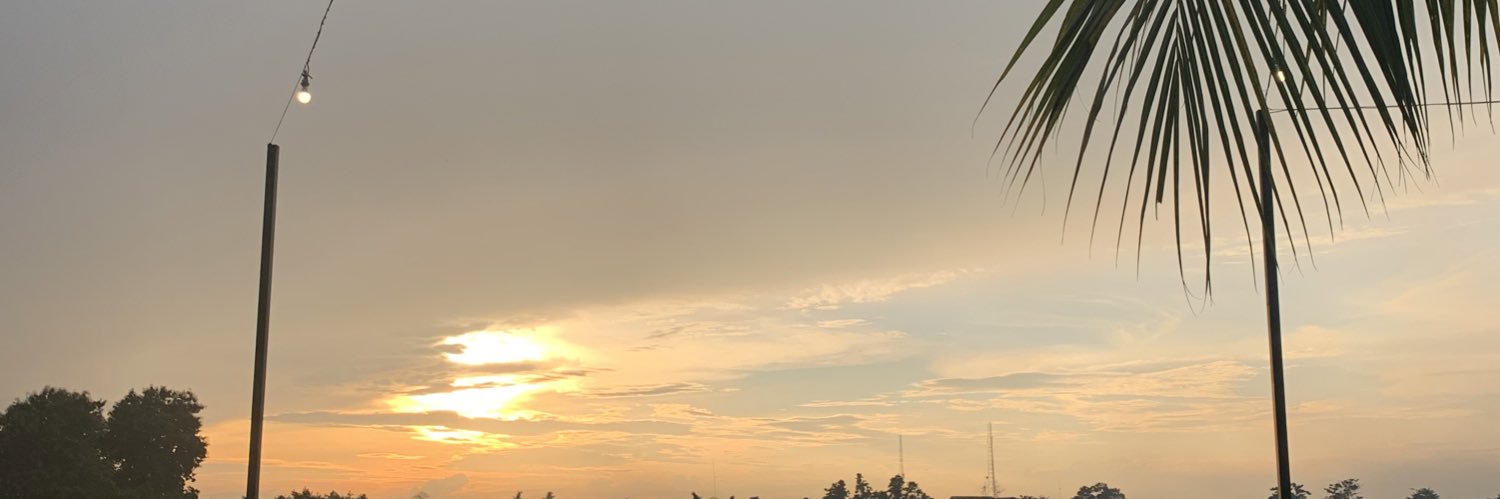 gepgepha's profile banner image