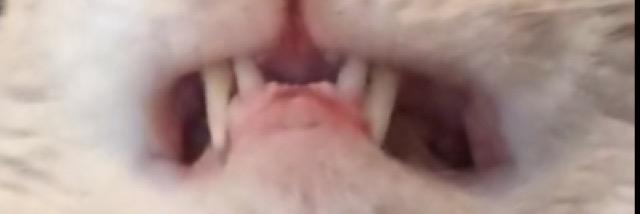 kenzietaaaylor's profile banner image