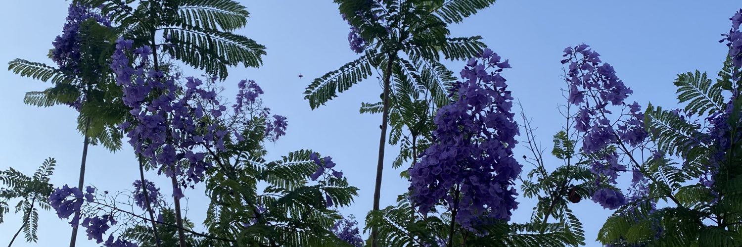 LaishaRobles's profile banner image