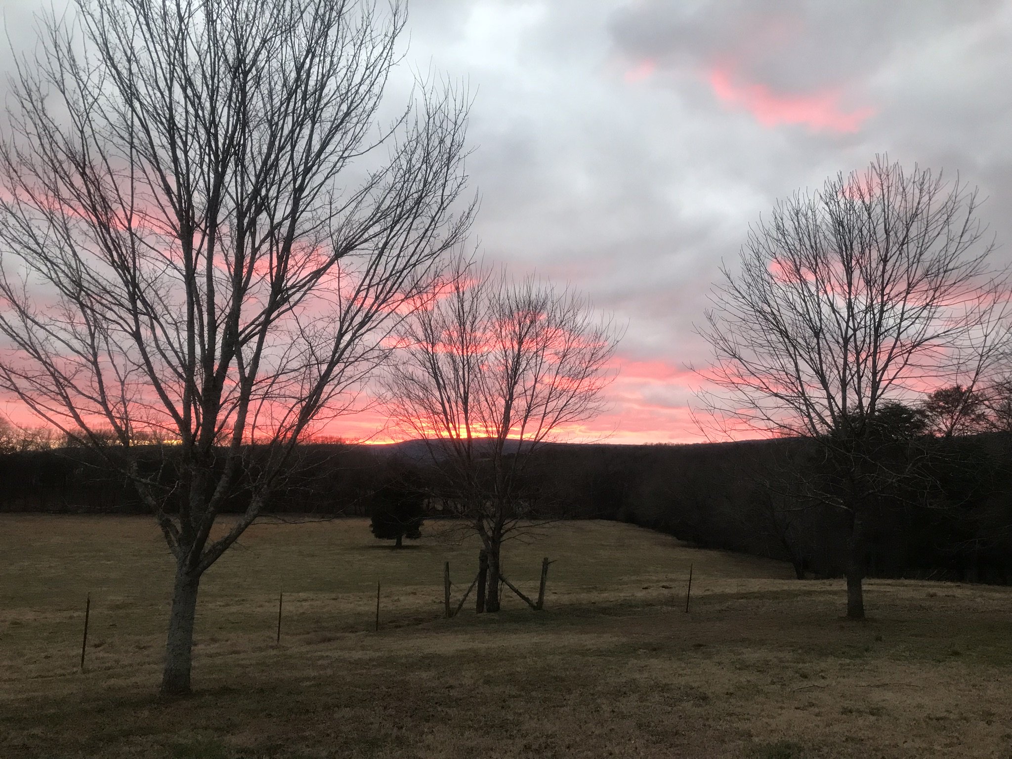 LauraSBarker's profile banner image