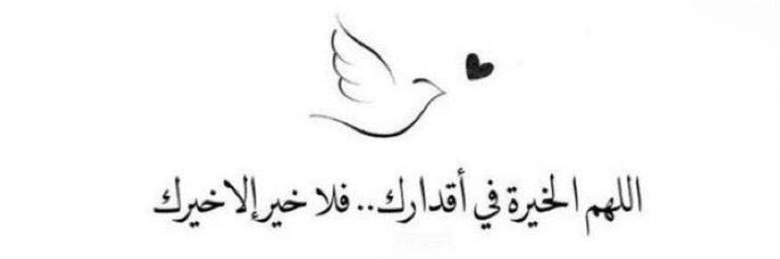 0055999's profile banner image