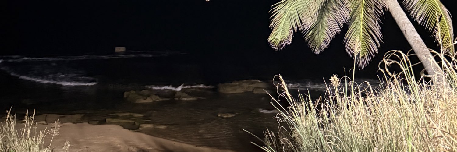 cvmposs_'s profile banner image