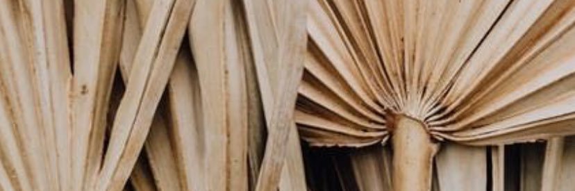 EricaCamargo's profile banner image
