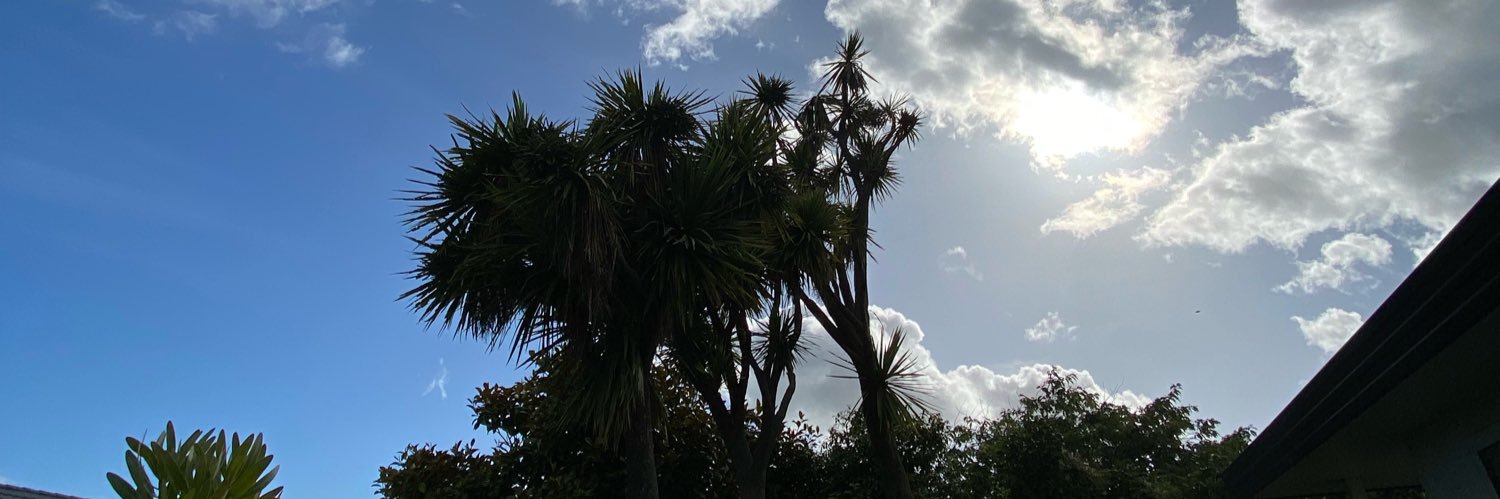 InlyCampbell's profile banner image