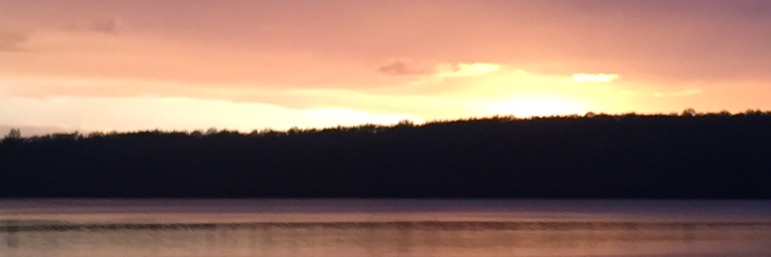 FJTT15's profile banner image
