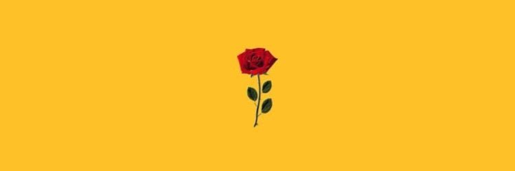 nandaptrilstr's profile banner image