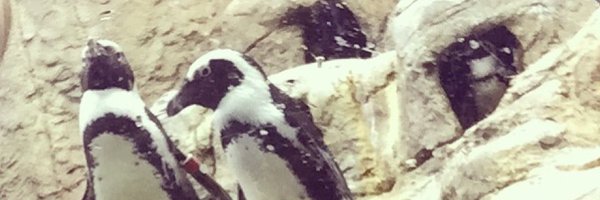 TylerO Profile Banner