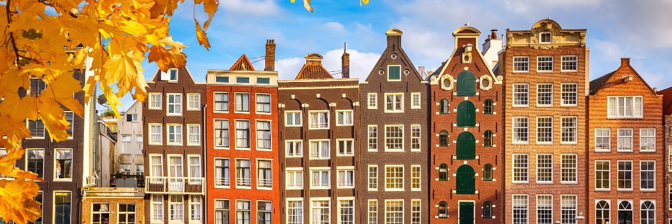 carineschneider's profile banner image