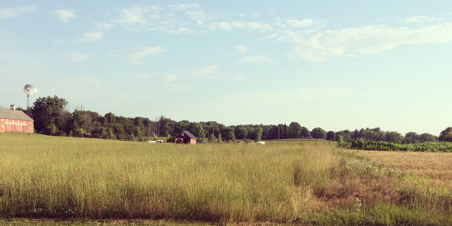 Will “Jack’s Pizza” Ramos banner