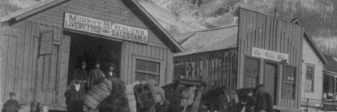 SilverHillCo's profile banner image