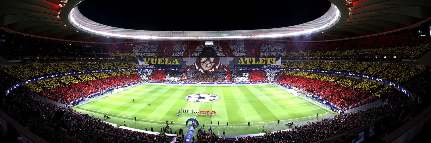 Boia chi molla banner