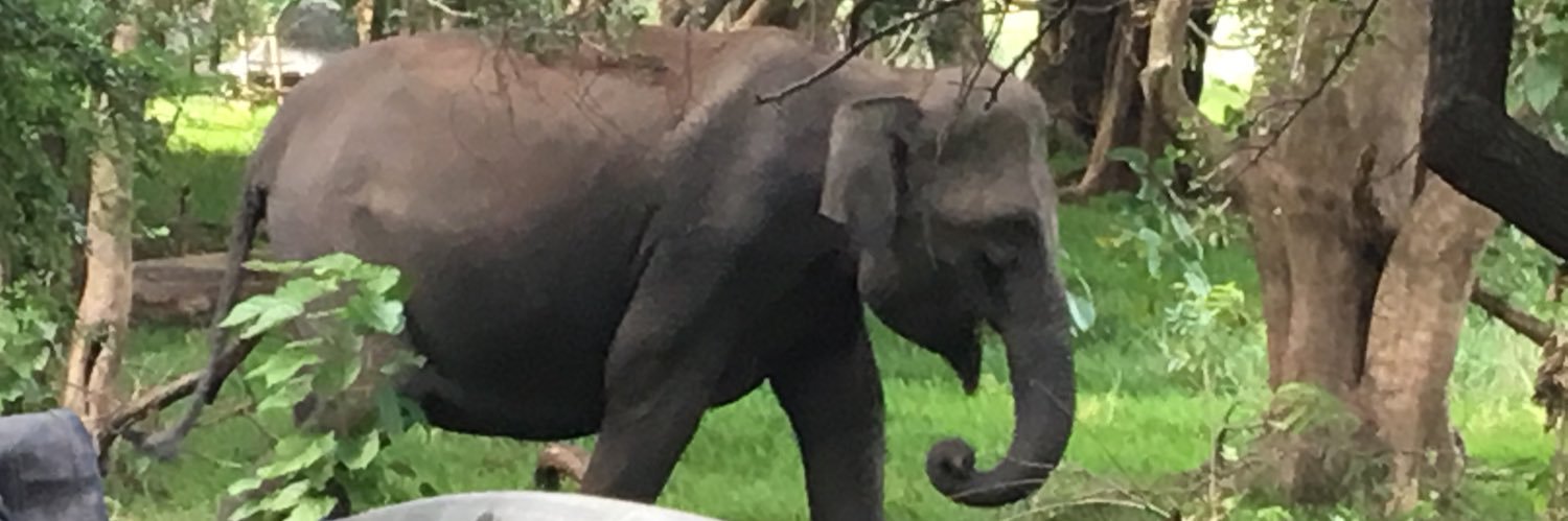 Babita (bobby) Williams banner