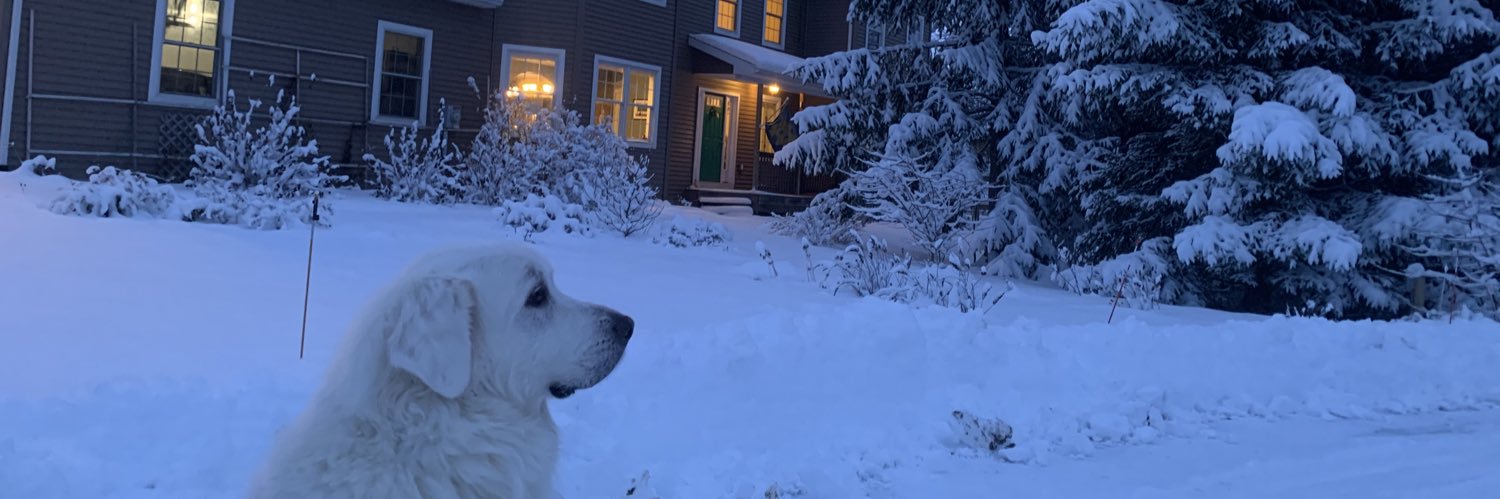 SBScanlon's profile banner image