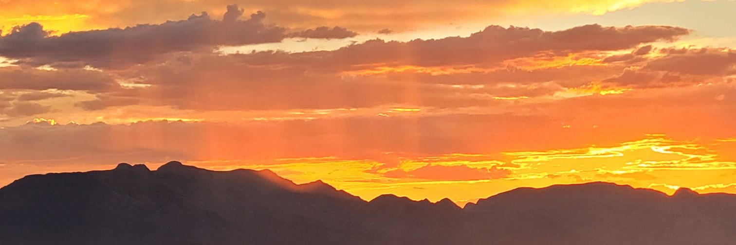 TAnderson81's profile banner image