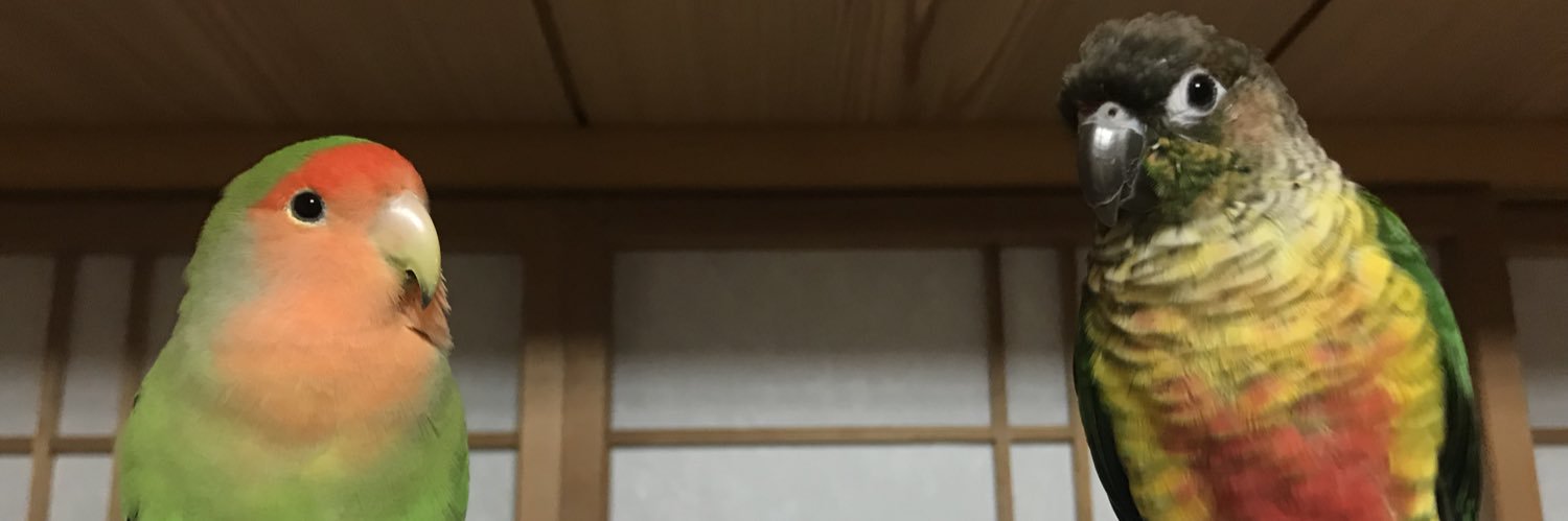 bassa6977's profile banner image