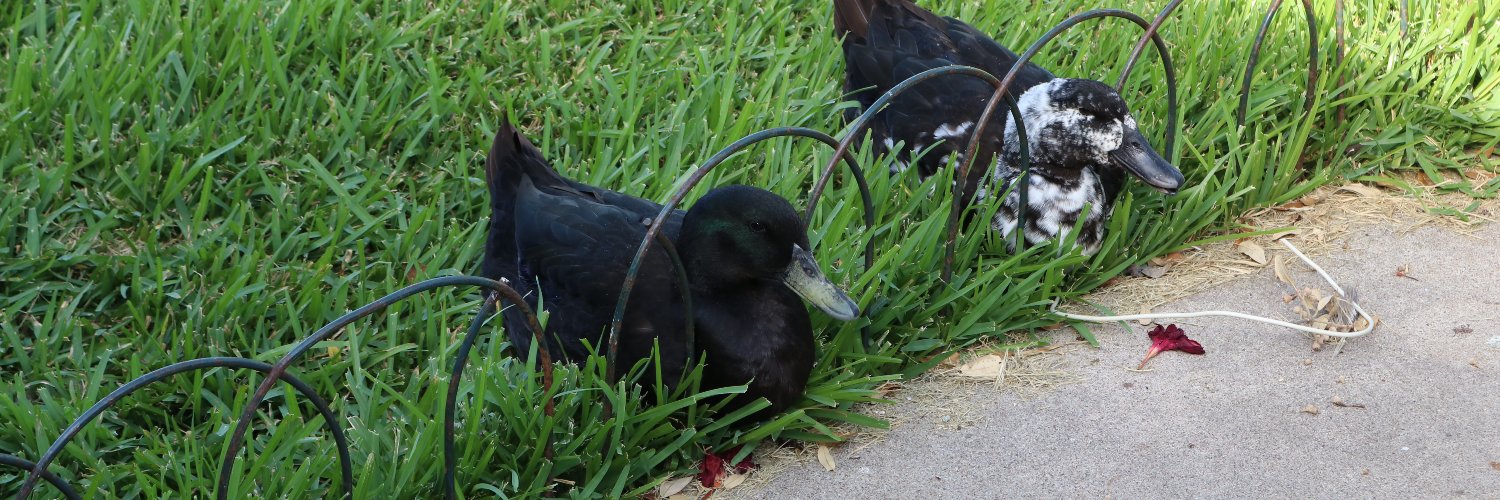 Epitacio Ladrillo banner