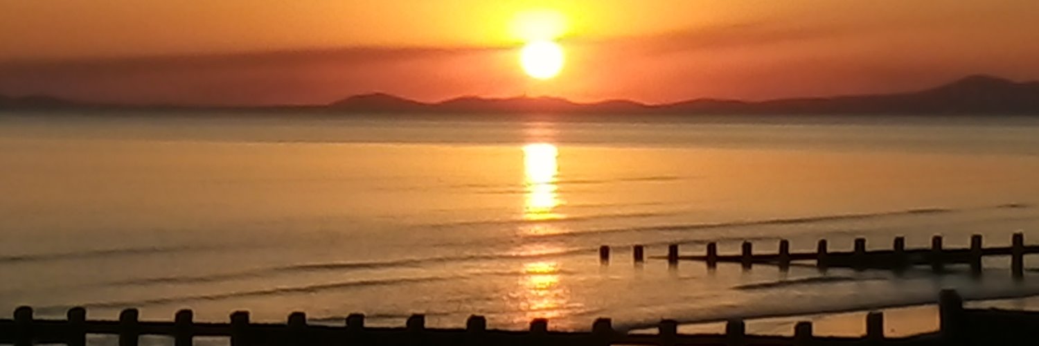 Celia (Crikey!) Fox banner