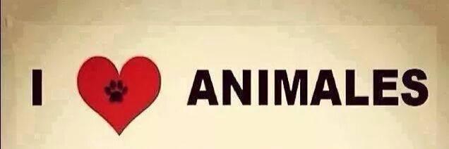 Amdara1's profile banner image
