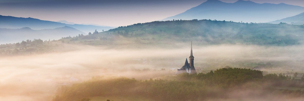 Mihail Neamtu banner