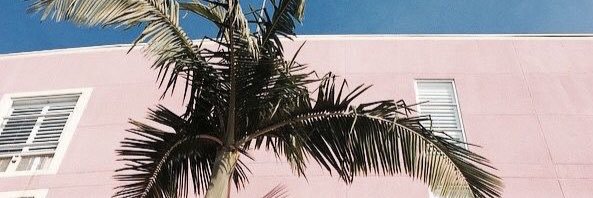 malditachick's profile banner image