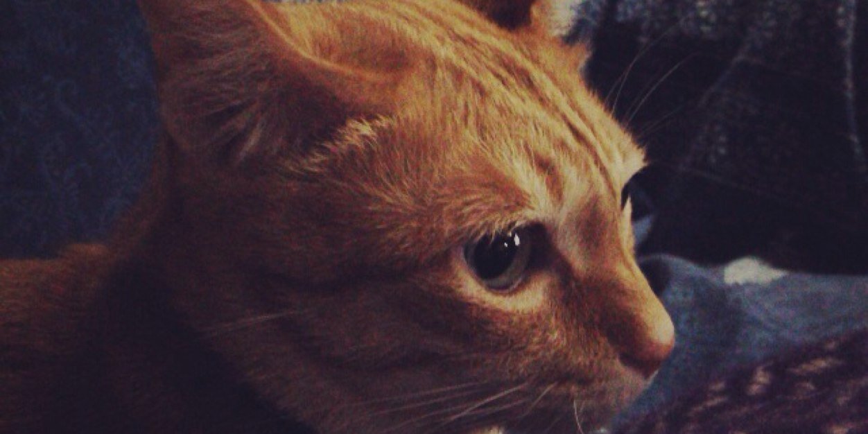 yukappa's profile banner image