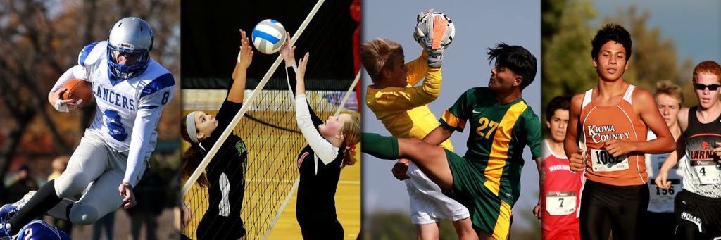 Everett Royer banner