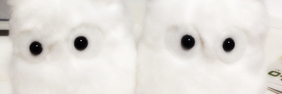 kasumilkey's profile banner image