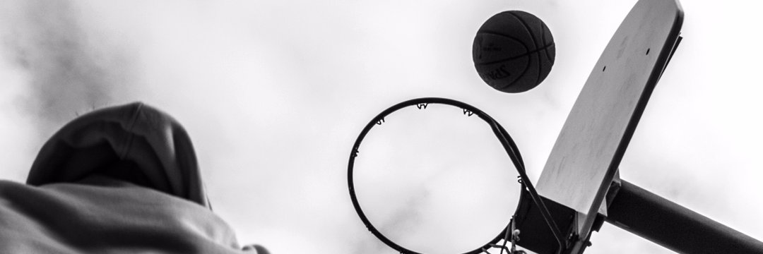 theallieschmidt's profile banner image