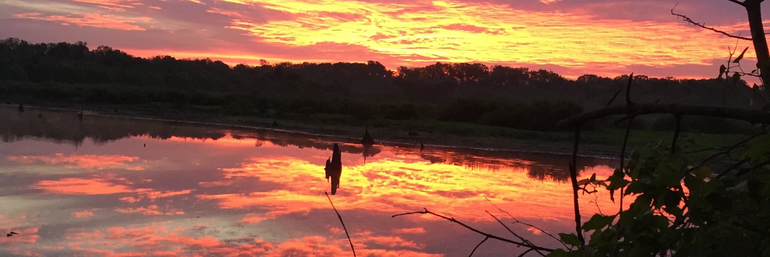 SeratteAustin's profile banner image
