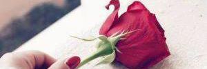 dehn_aa's profile banner image