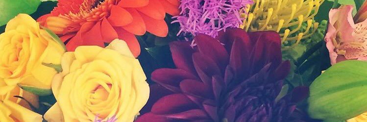 she_shebean's profile banner image