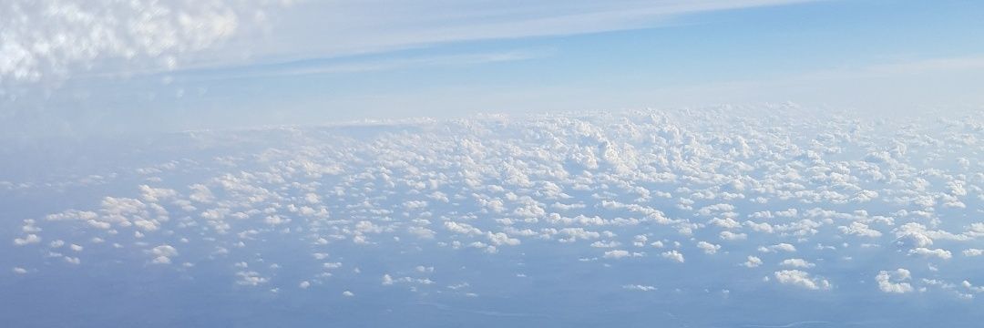 rossmonges's profile banner image
