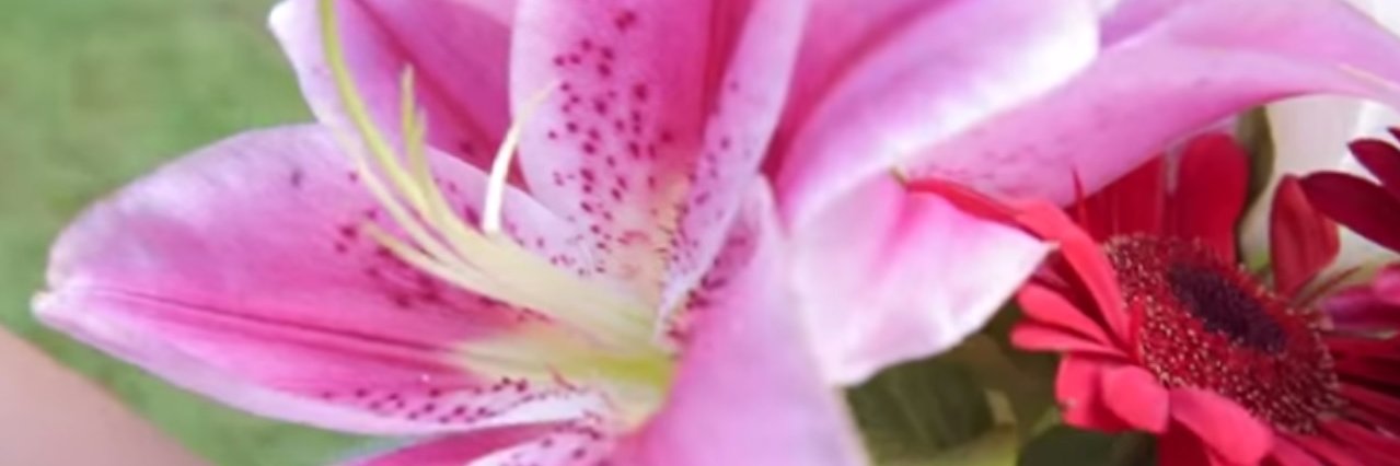 aeternamente13's profile banner image