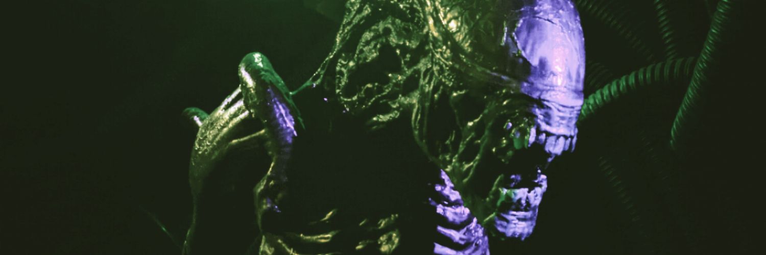 Erik Thorkildsen banner