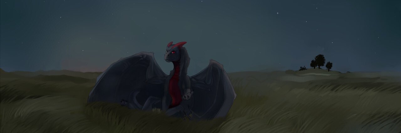 Duirn's profile banner image
