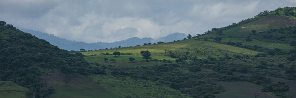 mario_chavez Profile Banner