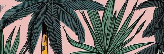 Amanda Cárcamo banner