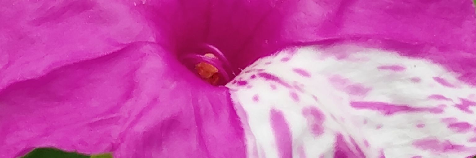 bluesky_behappy's profile banner image