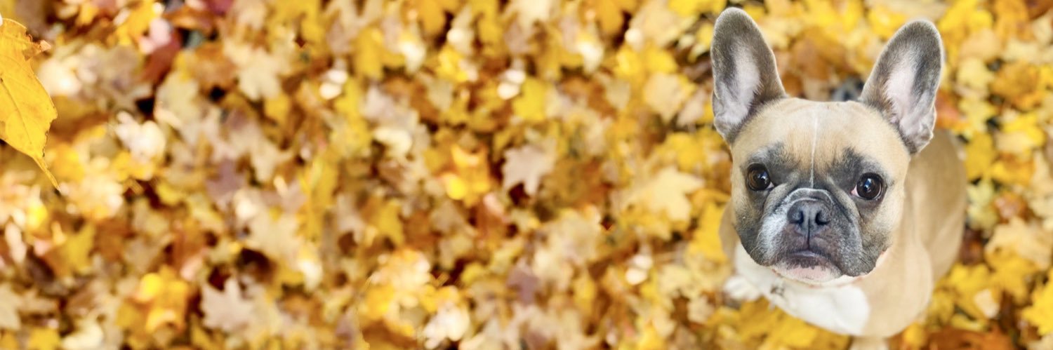 etherianos's profile banner image