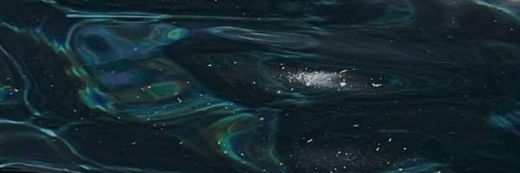 greyish_6's profile banner image