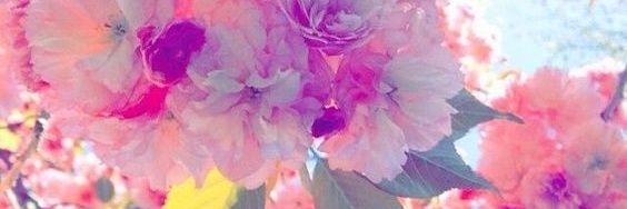 Desi Deniz  💜 banner