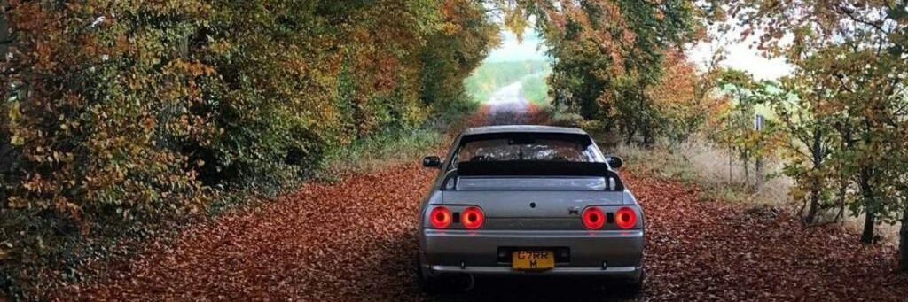 16Leomer's profile banner image