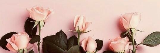 esysweety's profile banner image