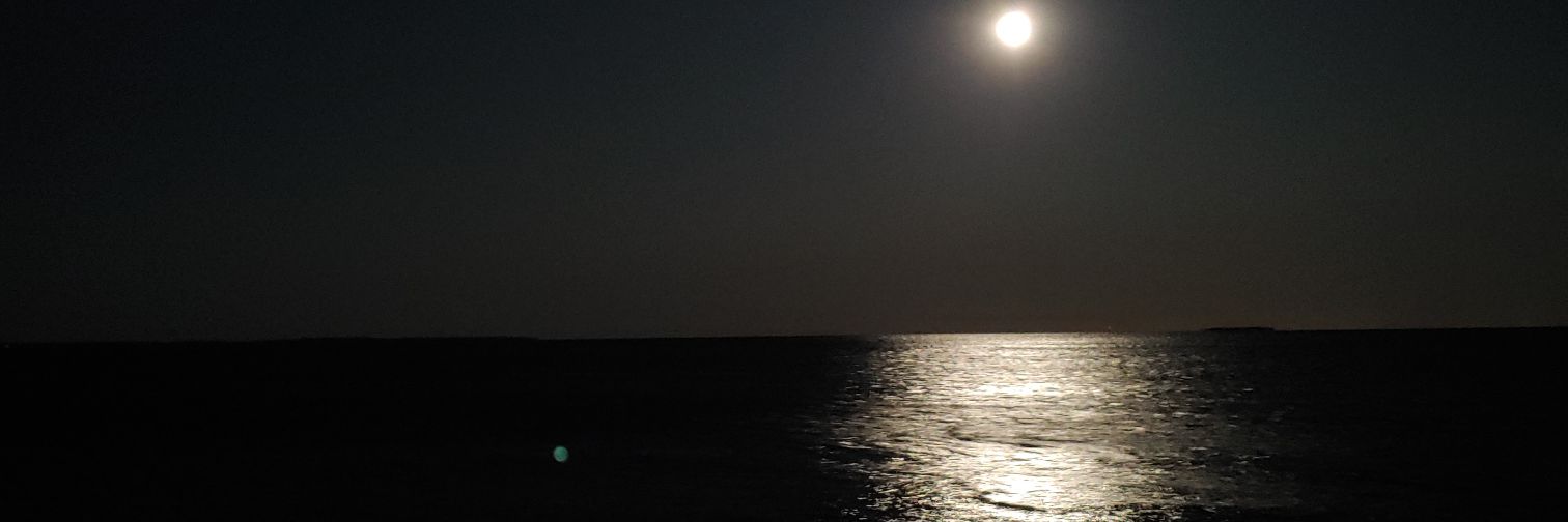 bdobney's profile banner image