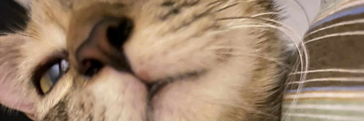 _MCnok_'s profile banner image