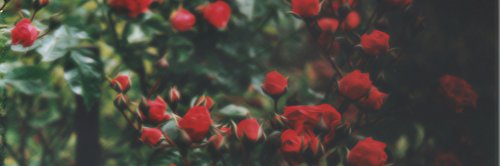 TheZoundEffects's profile banner image